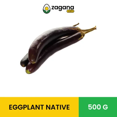 500G ZAGANA EGGPLANT NATIVE