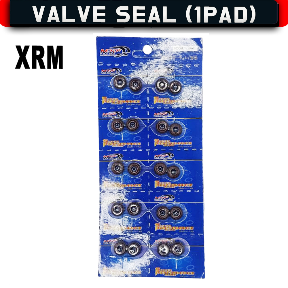 valve seal xrm 110