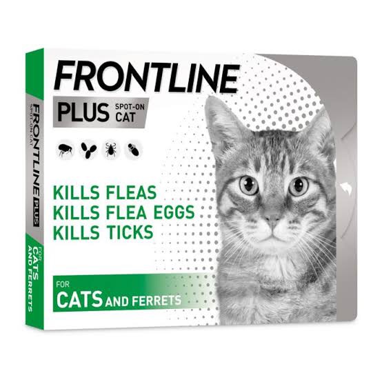 frontline for cats cheapest