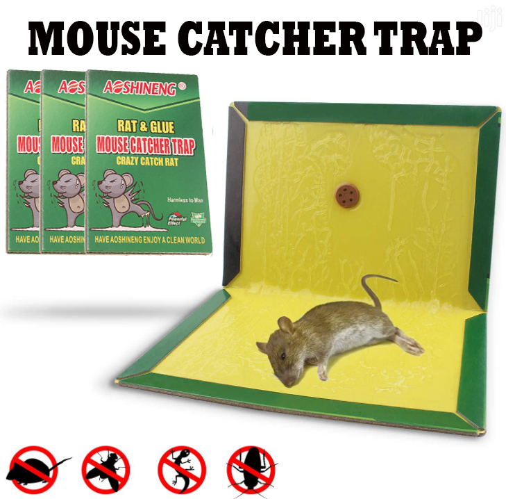 Buyyu Mouse trap/Rodent expert/Rat Glue snare/sticker mice Lazada PH