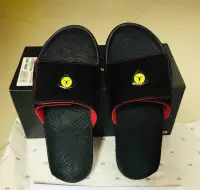 jordan ferrari slides