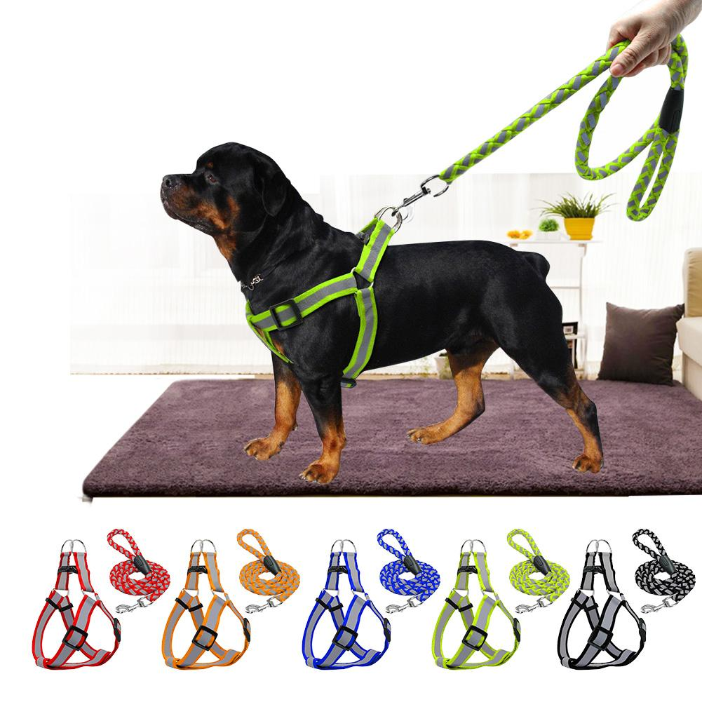 reflective dog harness and leash