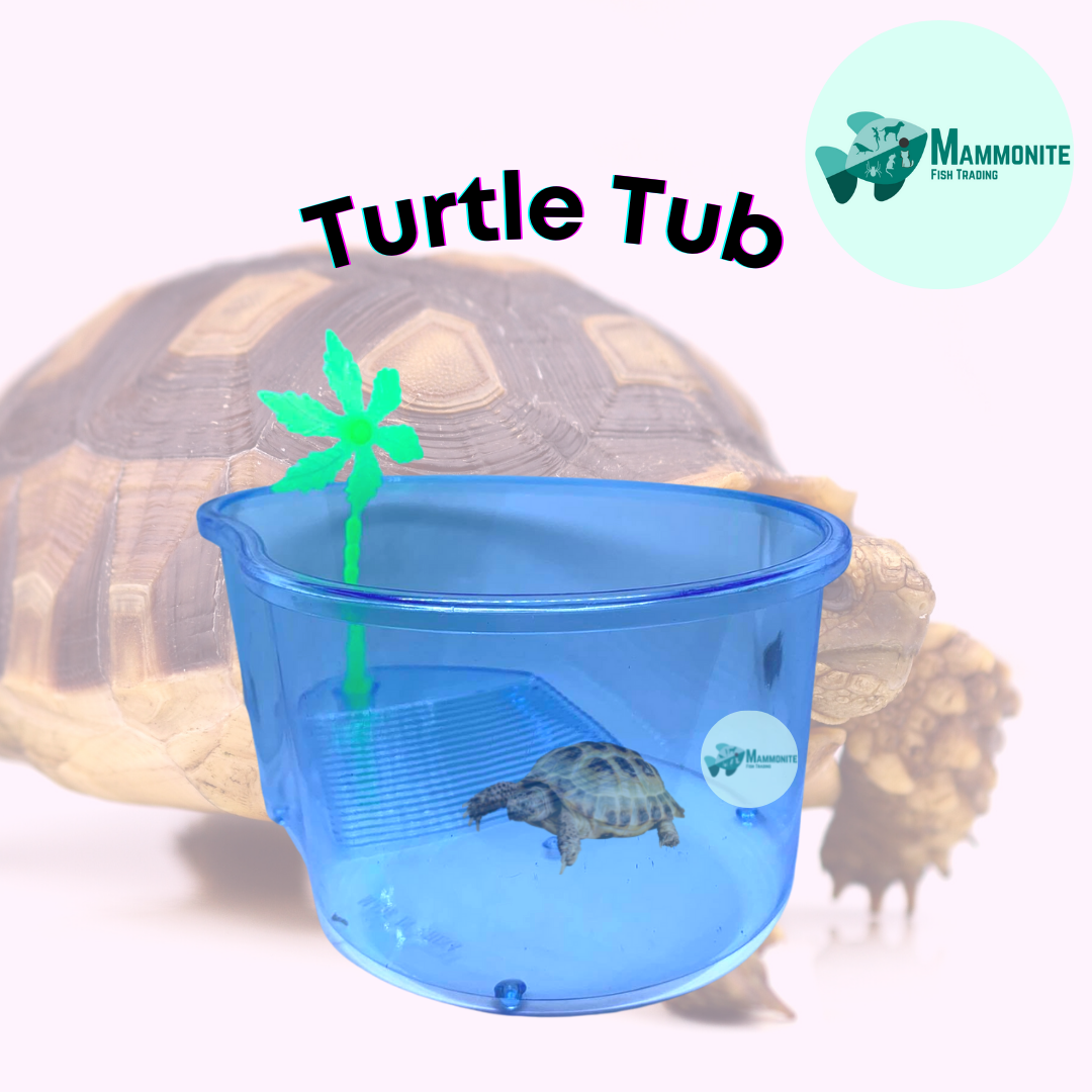 Plastic Reptile Turtle Tub Oval Tank
