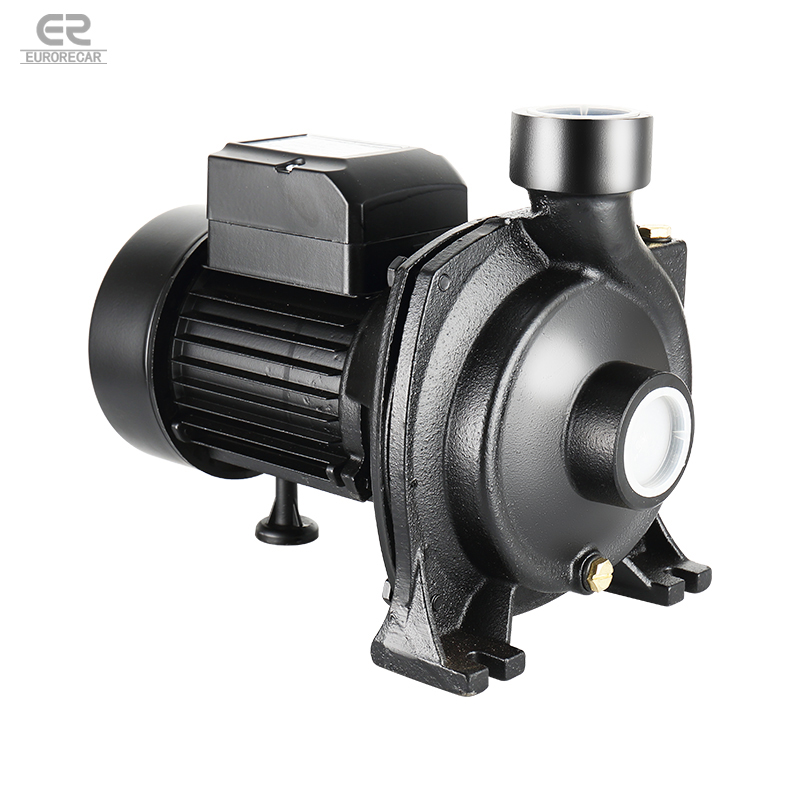 220V High Flow Electric Centrifugal Submersible Pump Shallow Well Self