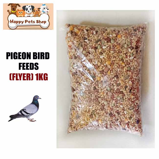 Pigeon and clearance bird pet shop