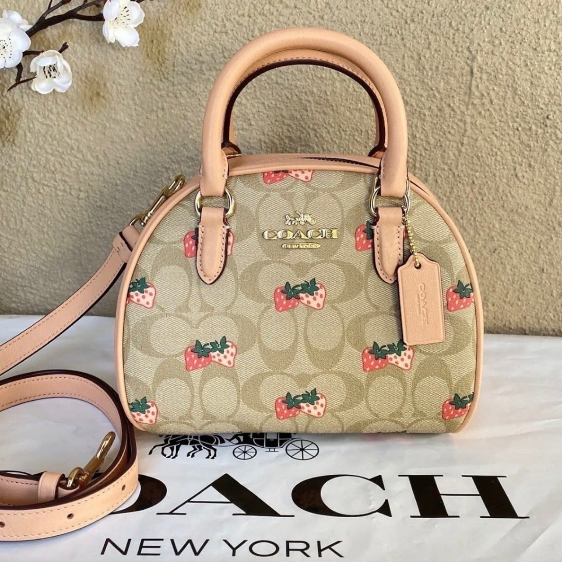 Coach Sydney Satchel in Signature Canvas with Strawberry Print