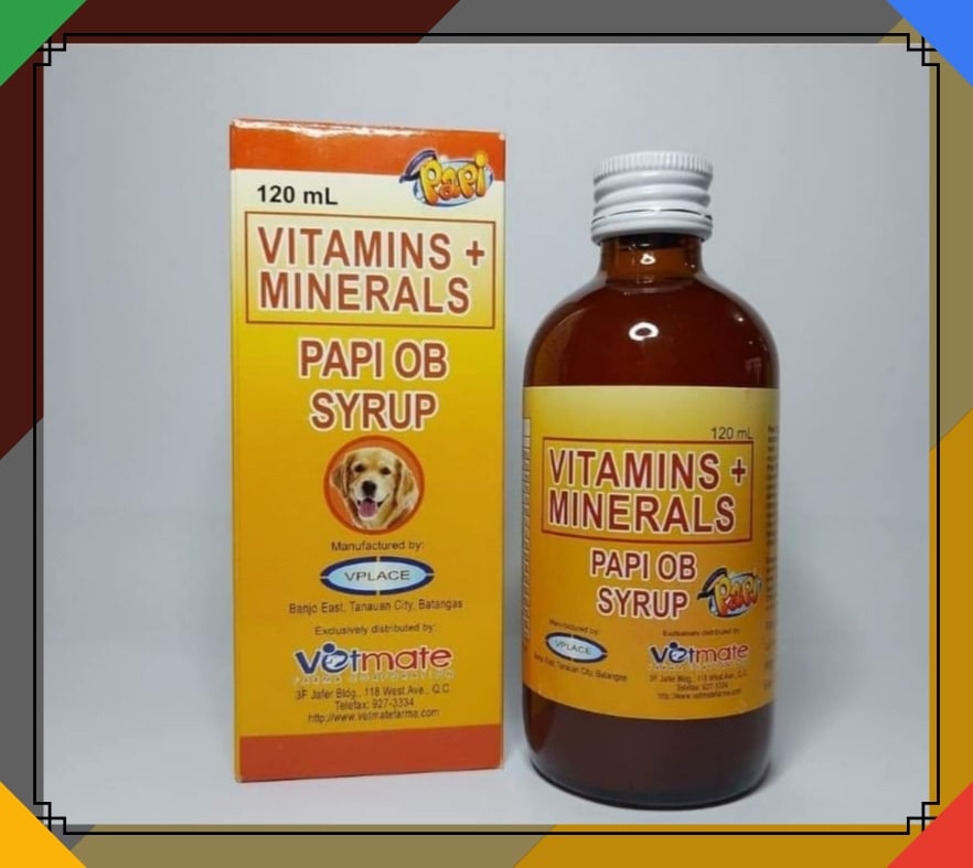 PAPI OB Syrup for Pregnant and Lactating Pets (120mL) Lazada PH