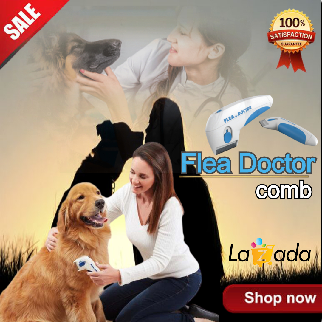 pet supplies and accessories