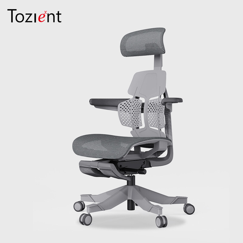 ToZient Ergonomic Office Chair,Adjustable Mechanism, Mesh Back and Seat  Support