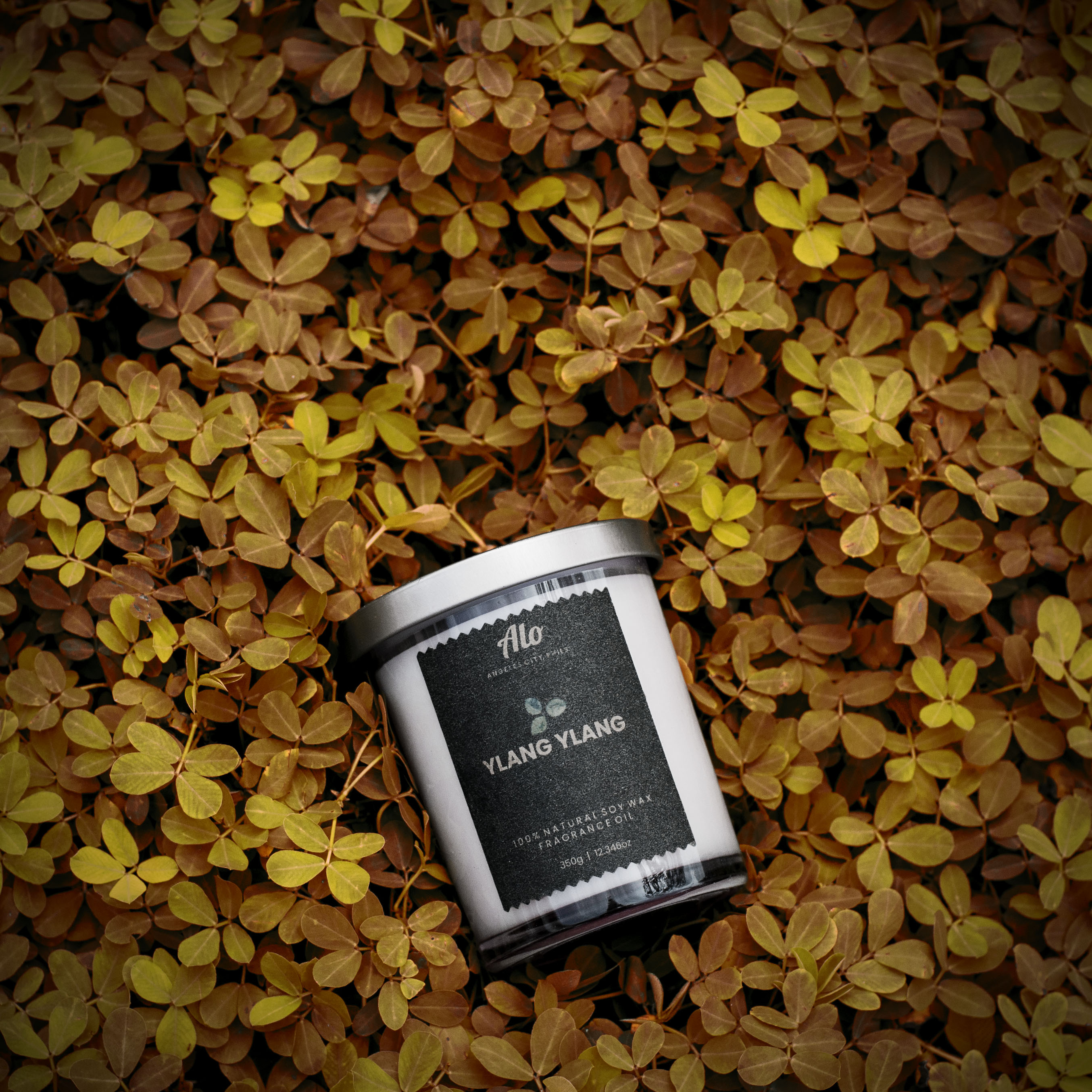 ALO Ylang Ylang Scented Soy Candle 350g 12.346oz Lazada PH