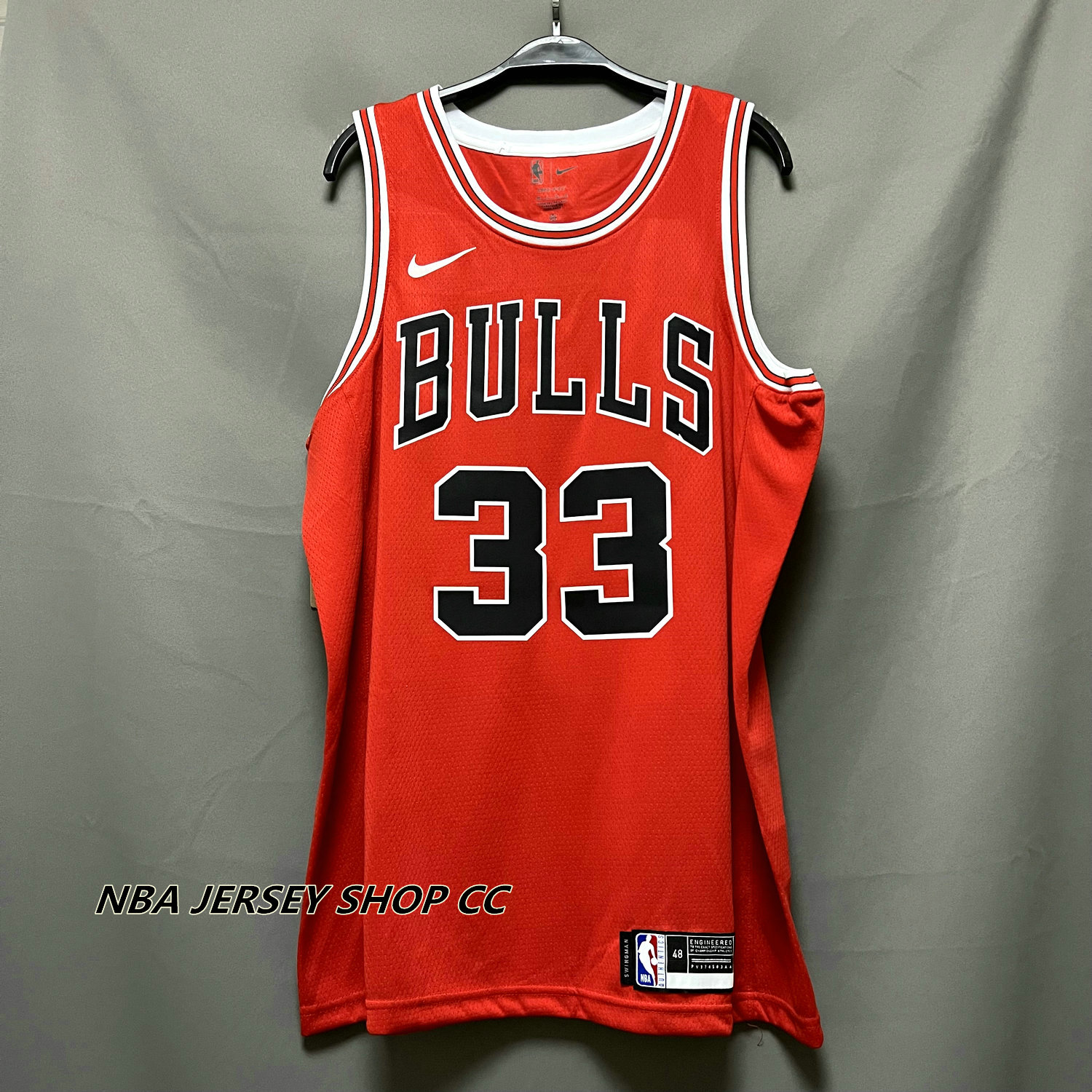 Vintage Champion NBA Chicago Bulls Scottie Pippen #33 Jersey - Men's S