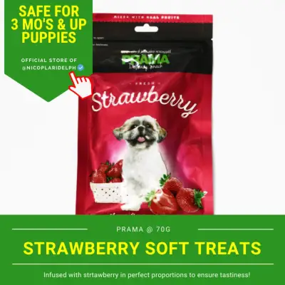 Prama Strawberry Delicacy Snack Made with Fresh Chicken Meat for Puppies and Adult Dogs (70g)