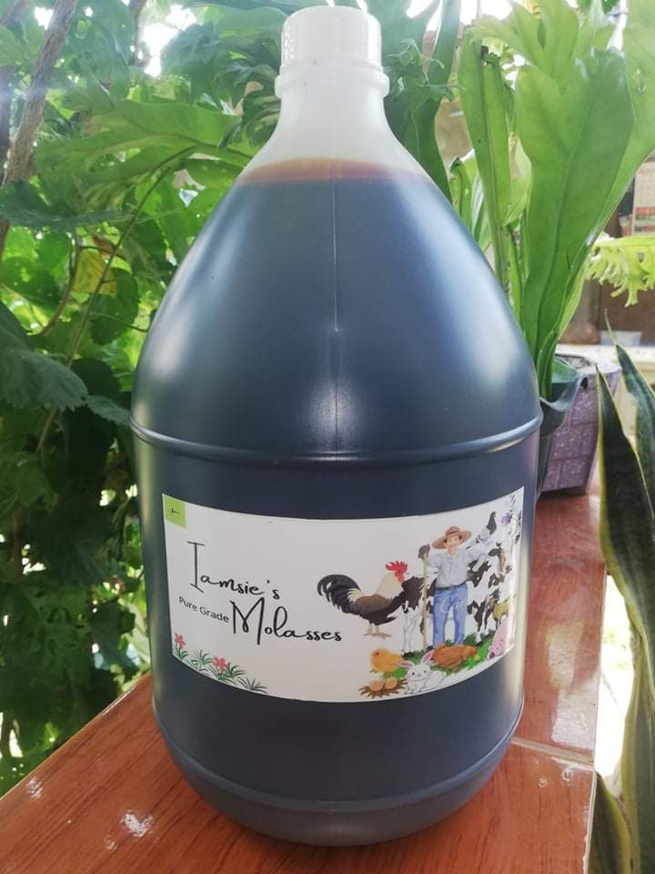 Molasses 1 Gallon Pure Grade Lazada PH