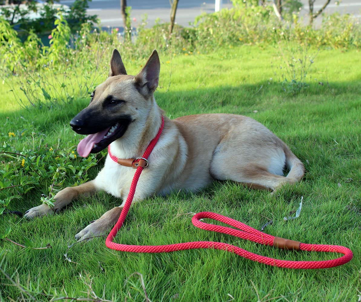 rope leads for large dogs