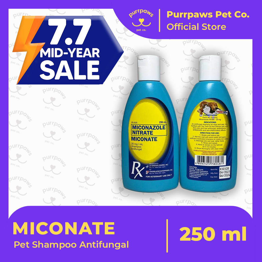 Miconazole nitrate shampoo for clearance dogs