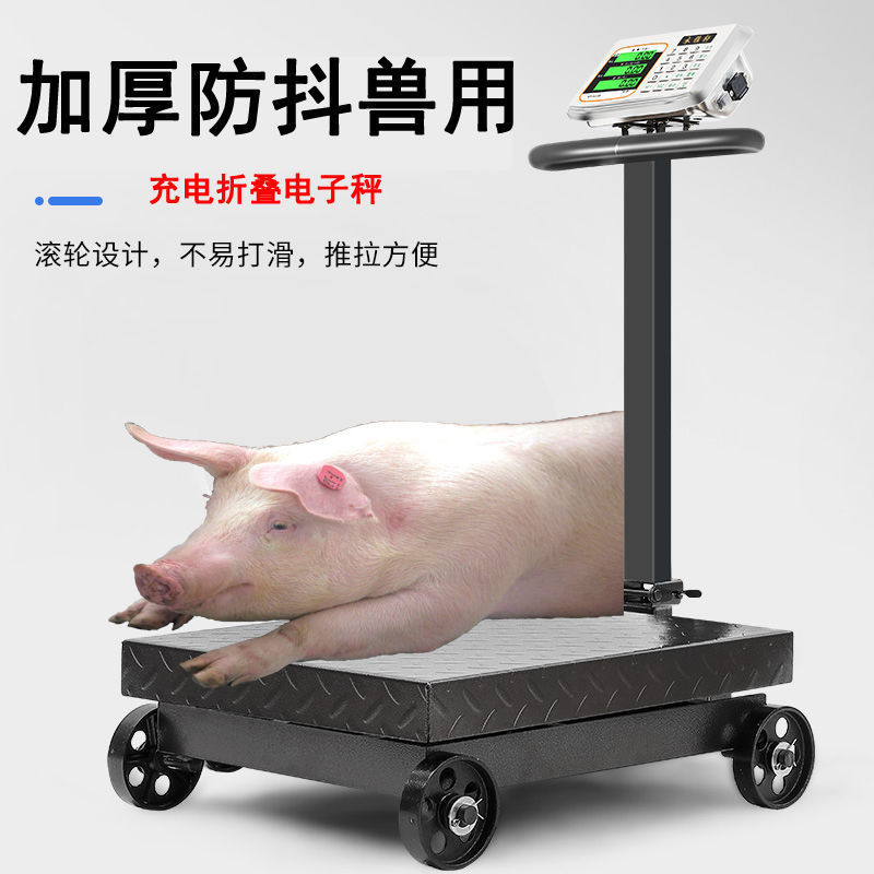 Scale for Pigs Scale for Animals Electronic Scale for Selling Pigs Farm