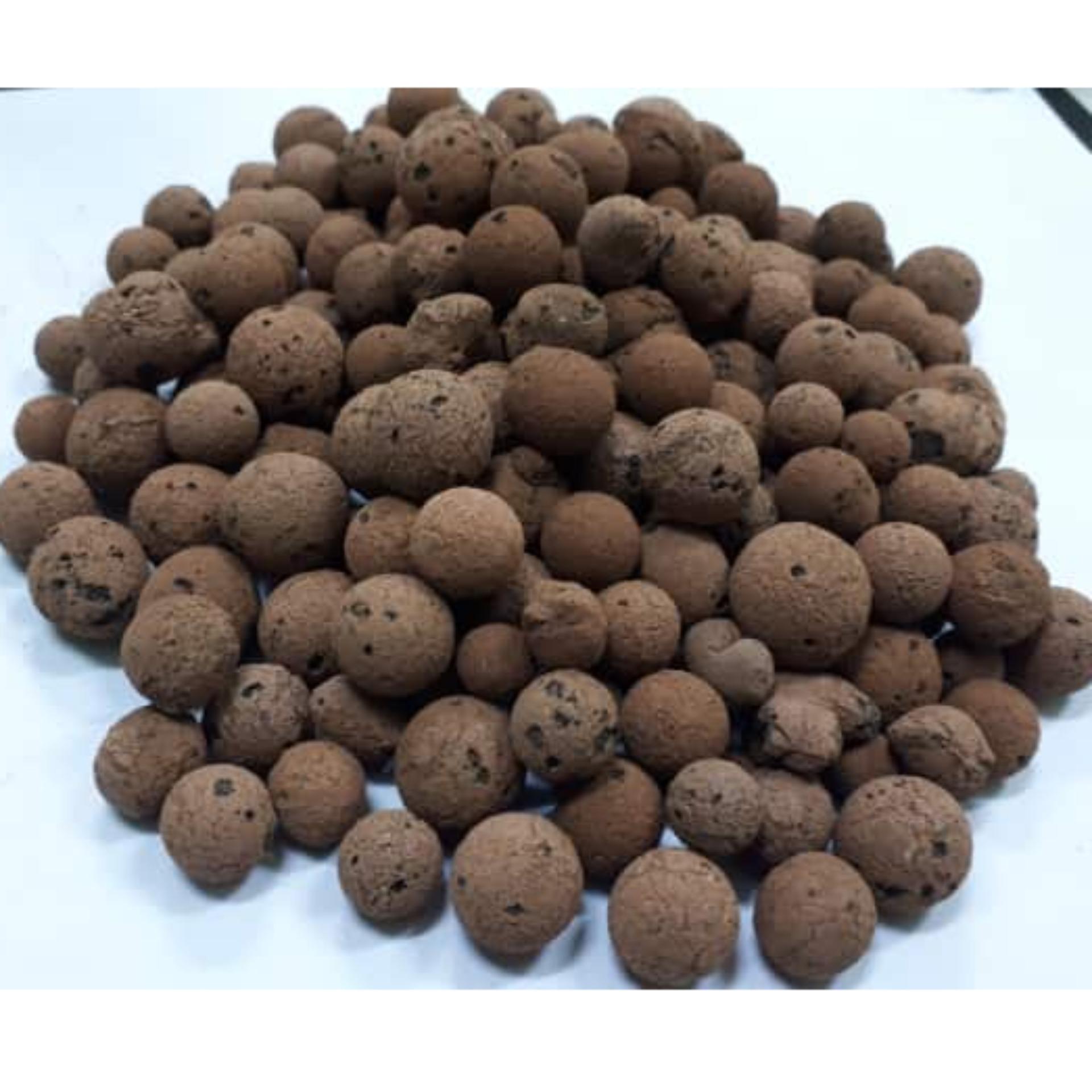 ARNETH HIGH QUALITY HYDROTON CLAY PEBBLES 1KG (MIXED SIZES) review and ...