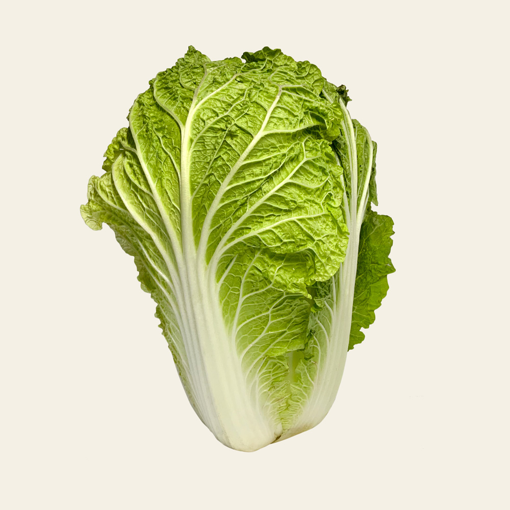 Farmers Lane Fresh Napa Cabbage Pechay Baguio Native Locally