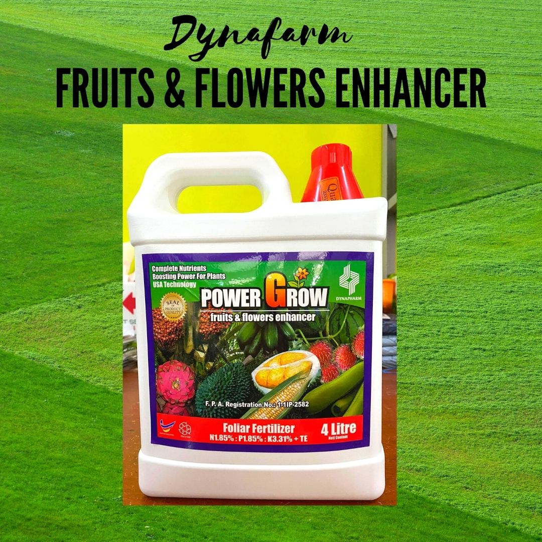 Dynapharm POWER GROW Foliar Fertilizer Gallon | Lazada PH