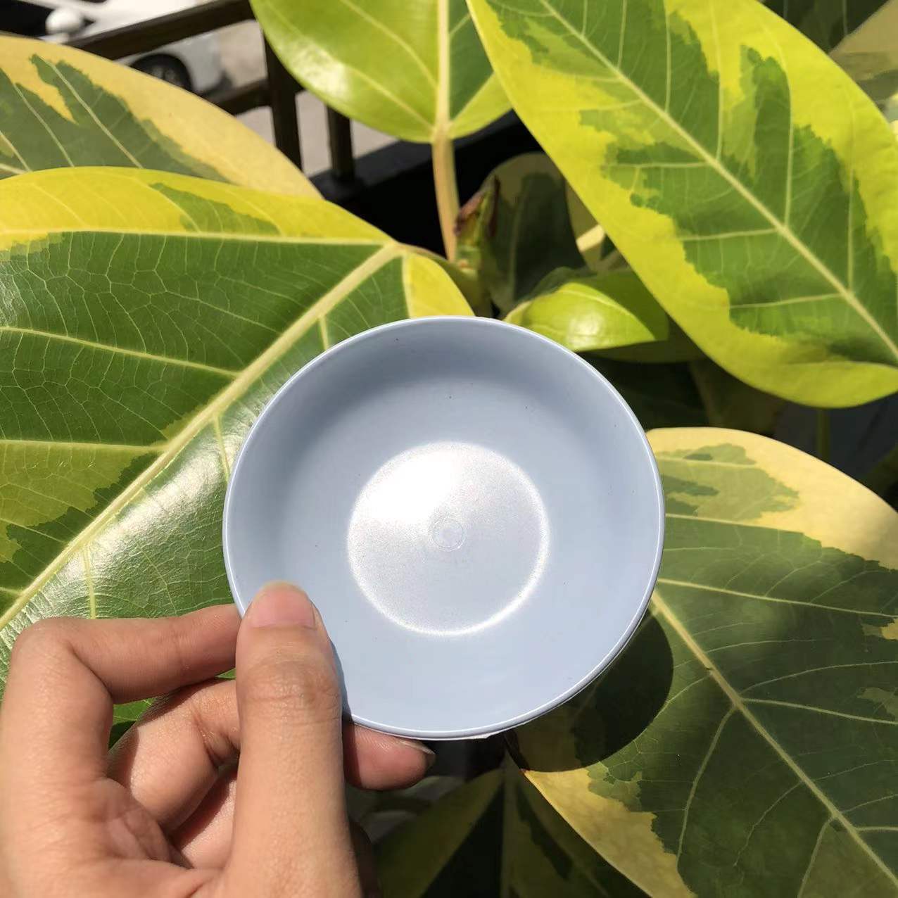 FAMILIFE 6/12pcs Cute Minimalist Plate Dinnerware Small Round Plates