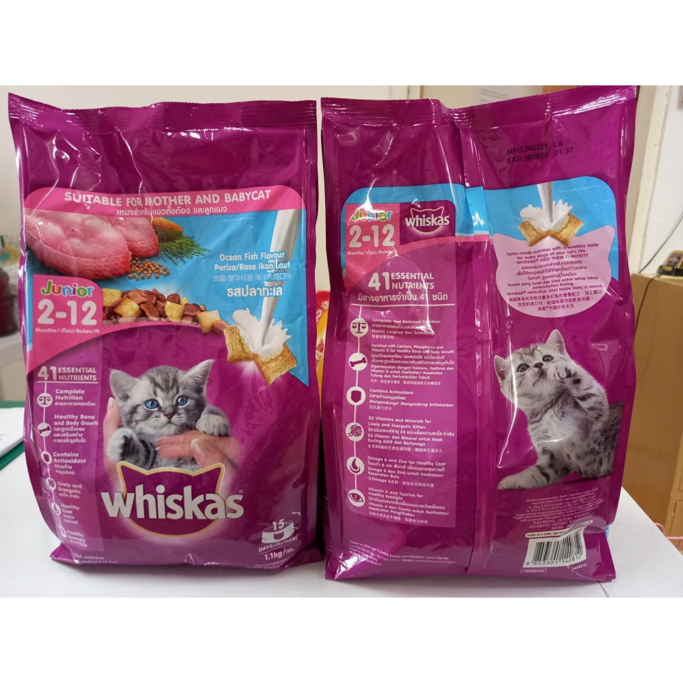 Whiskas Junior Dry Cat Food (1.1kg, original pack) Lazada PH