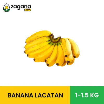 Zagana Banana Lacatan 1kg - 1.5kg