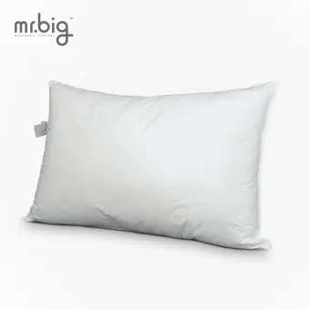 Mr. Big Hologel Pillow: Buy sell online 