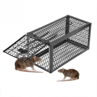 mouse trap price