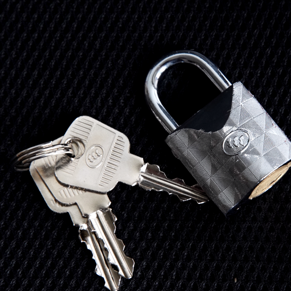 Charge Mavericks U1C US U+ electric car original battery antitheft