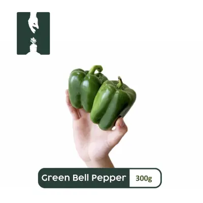 300G - GREEN BELL PEPPER — Fruits, Vegetables, Meat, Seafood Online Home Delivery — Handpicked Fresh