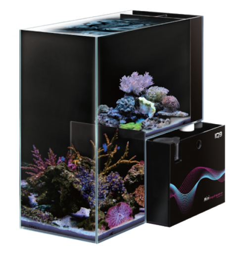 aquarium mini lazada