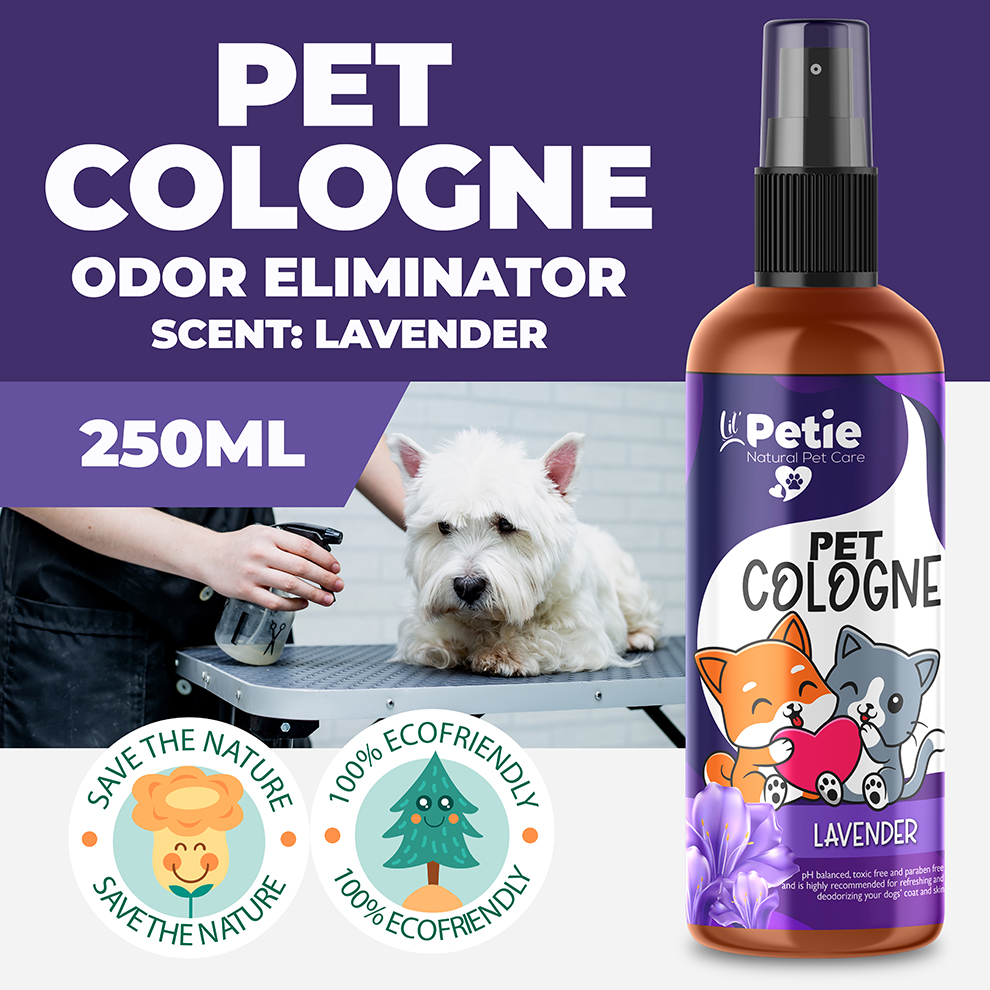 Deodorize Pet Smell