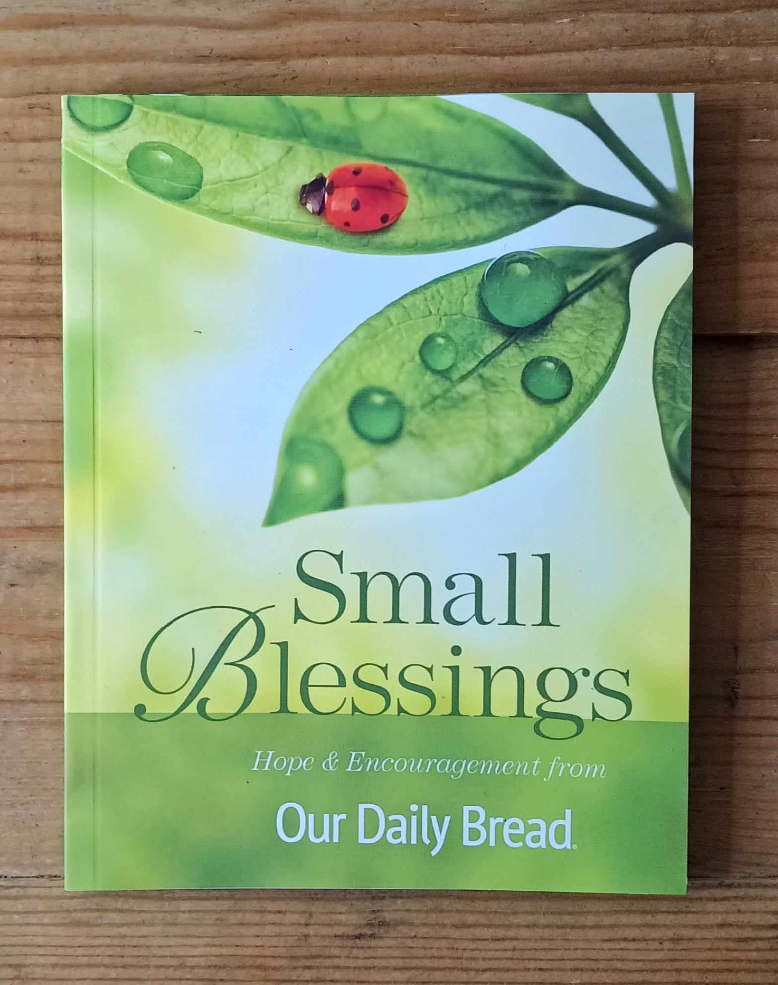 SMALL BLESSINGS HOPE AND ENCOURAGEMENT FROM OUR DAILY BREAD CHRISTIAN