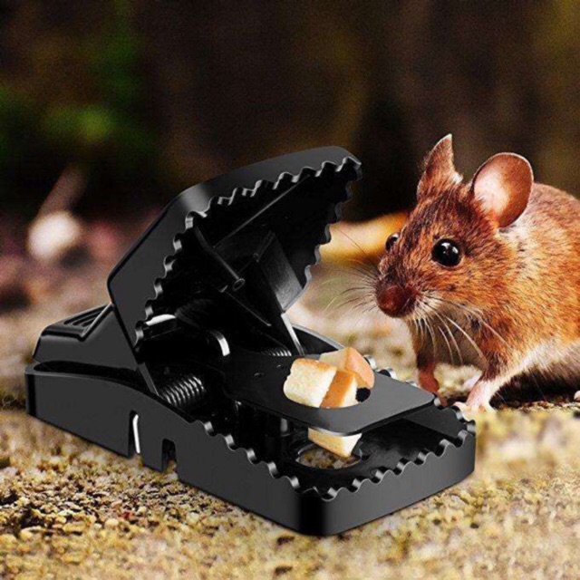 Reusable Rat Trap Catching Mice Mouse Spring Rodent Trap-Easy Catcher 