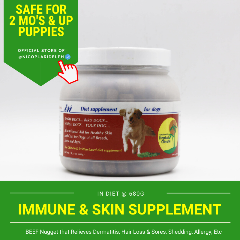 What Vitamins Are Dangerous For Dogs