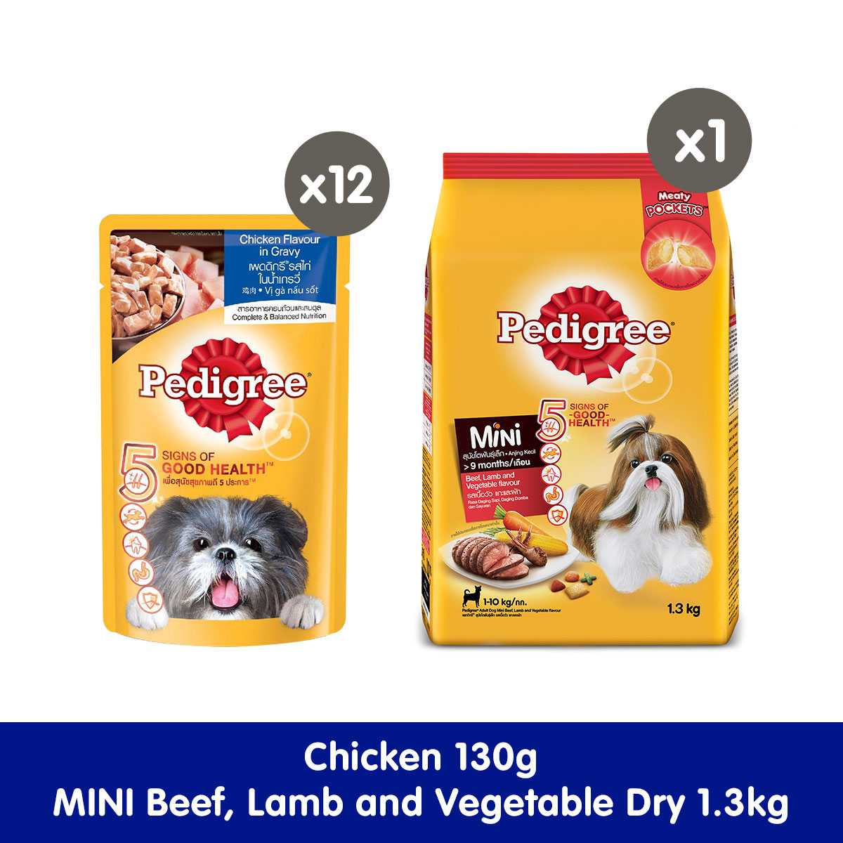 pedigree mini starter