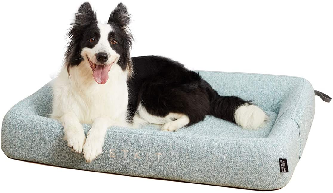 cat bed with removable cover