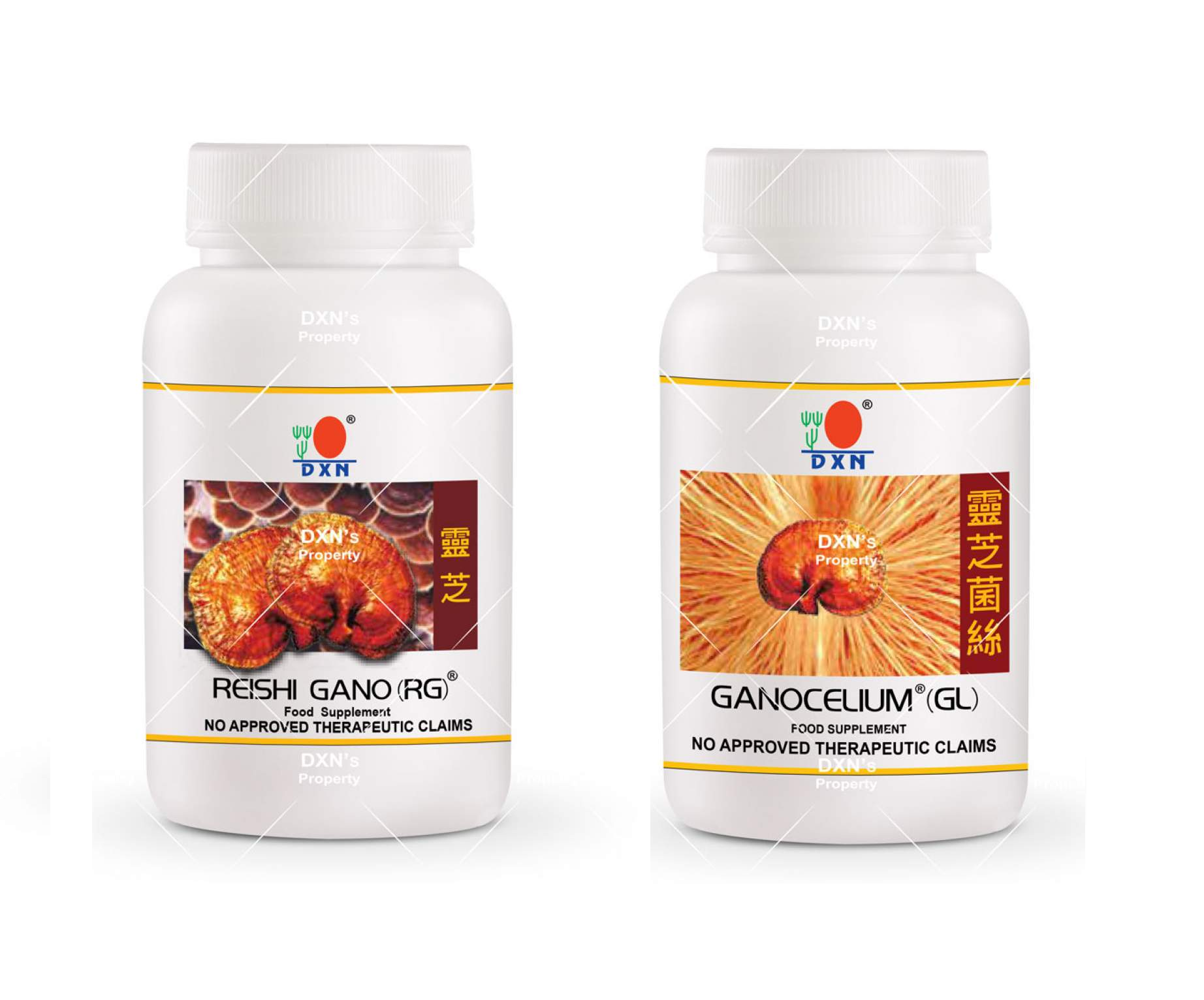 DXN Reishi Gano (RG) & Ganocelium (GL) Food Supplement Capsule ( 90 ...