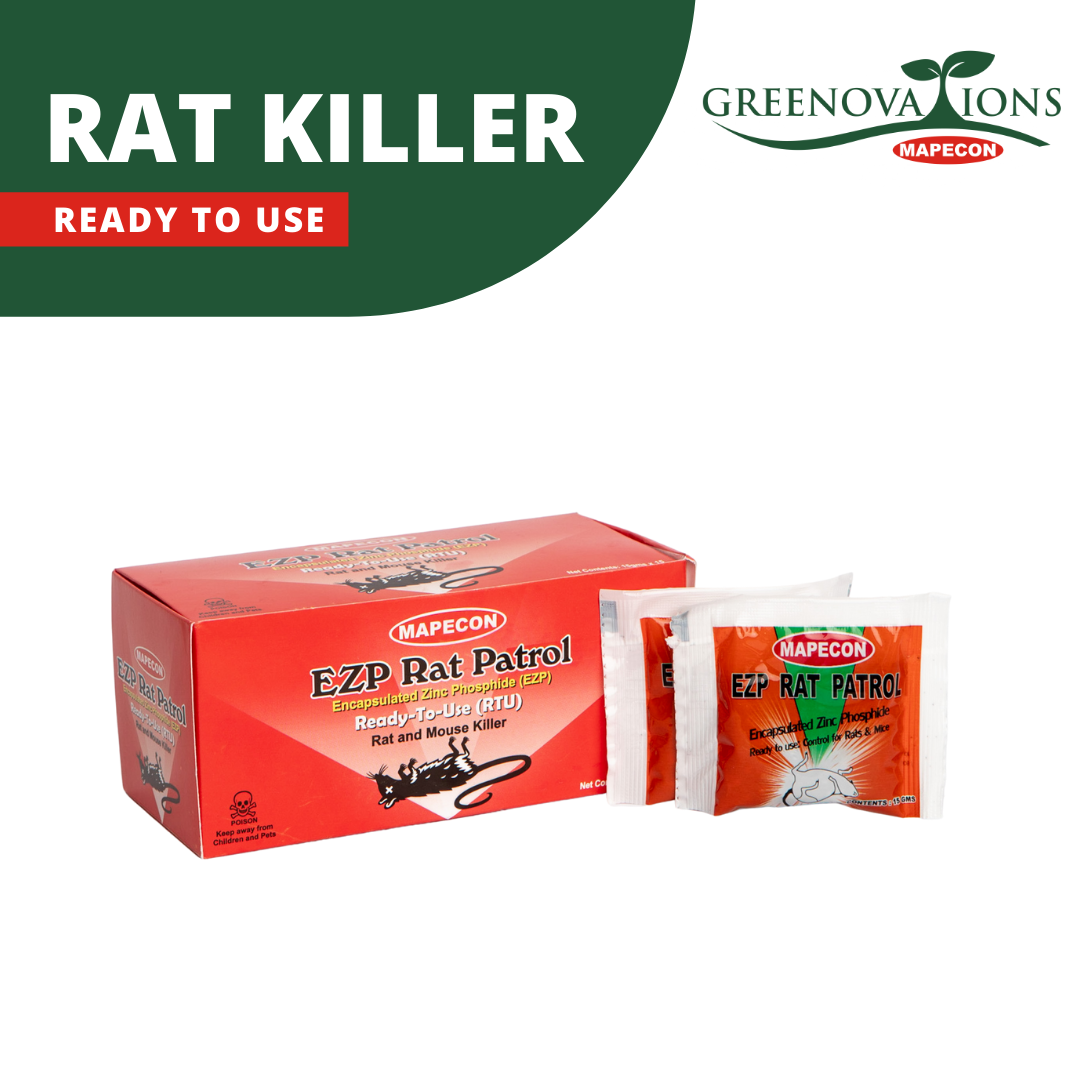 Buy Rat Killer Cake | Ready to use wax block for the control of Rats and  Mice | New Generation Rodenticide - Lowest price in India| GlowRoad