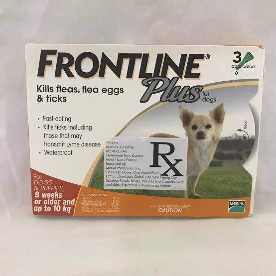 frontline for chihuahuas
