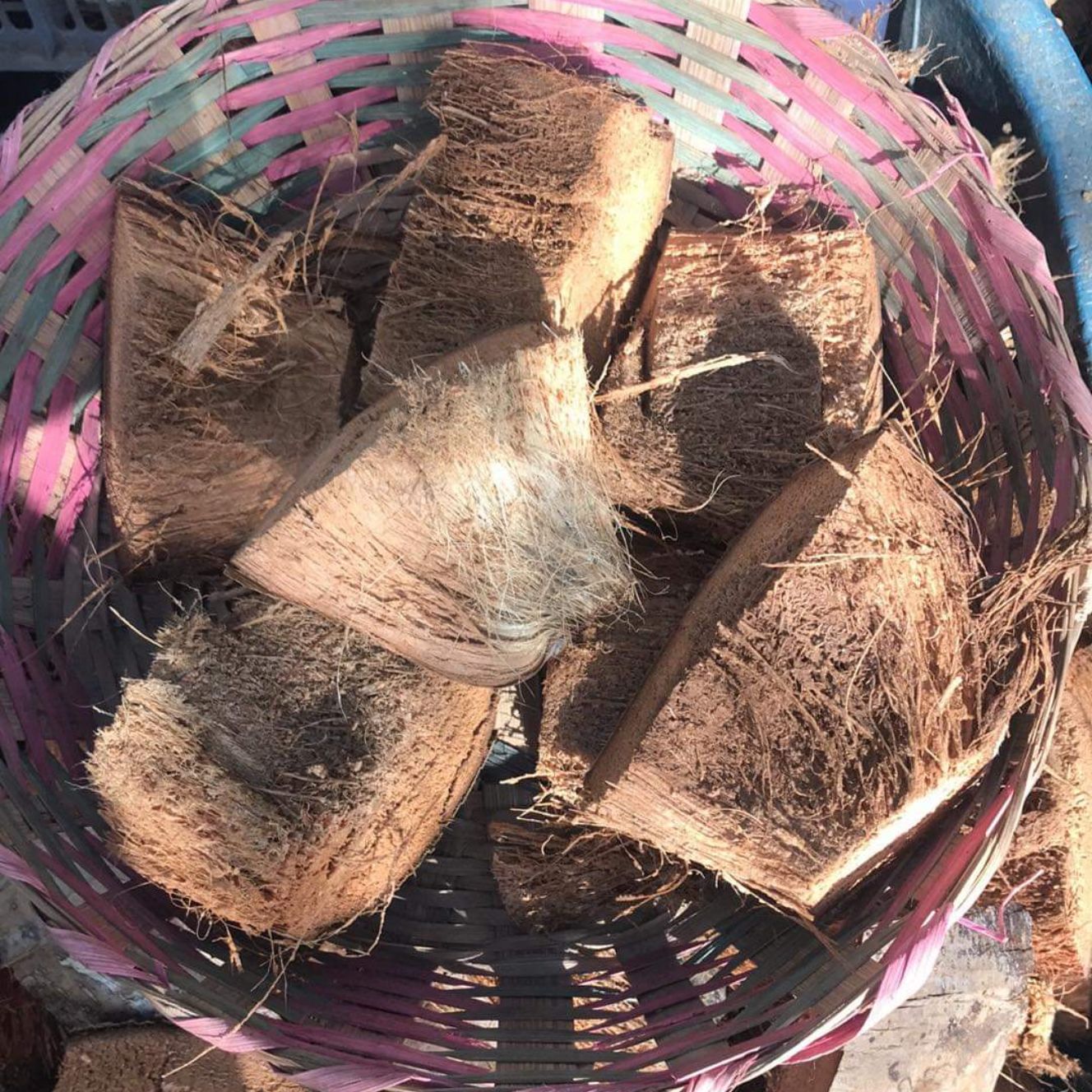 7 pcs Dried Coconut Husk Chunks Lazada PH