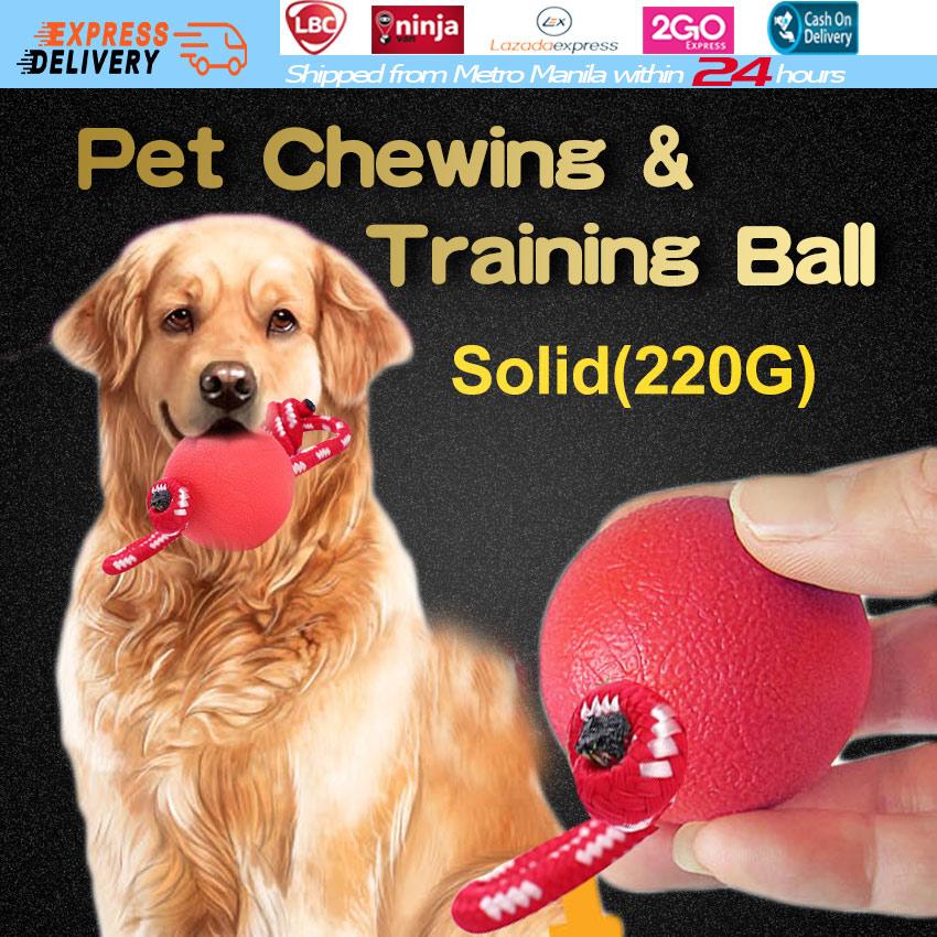 dog ball chew toy