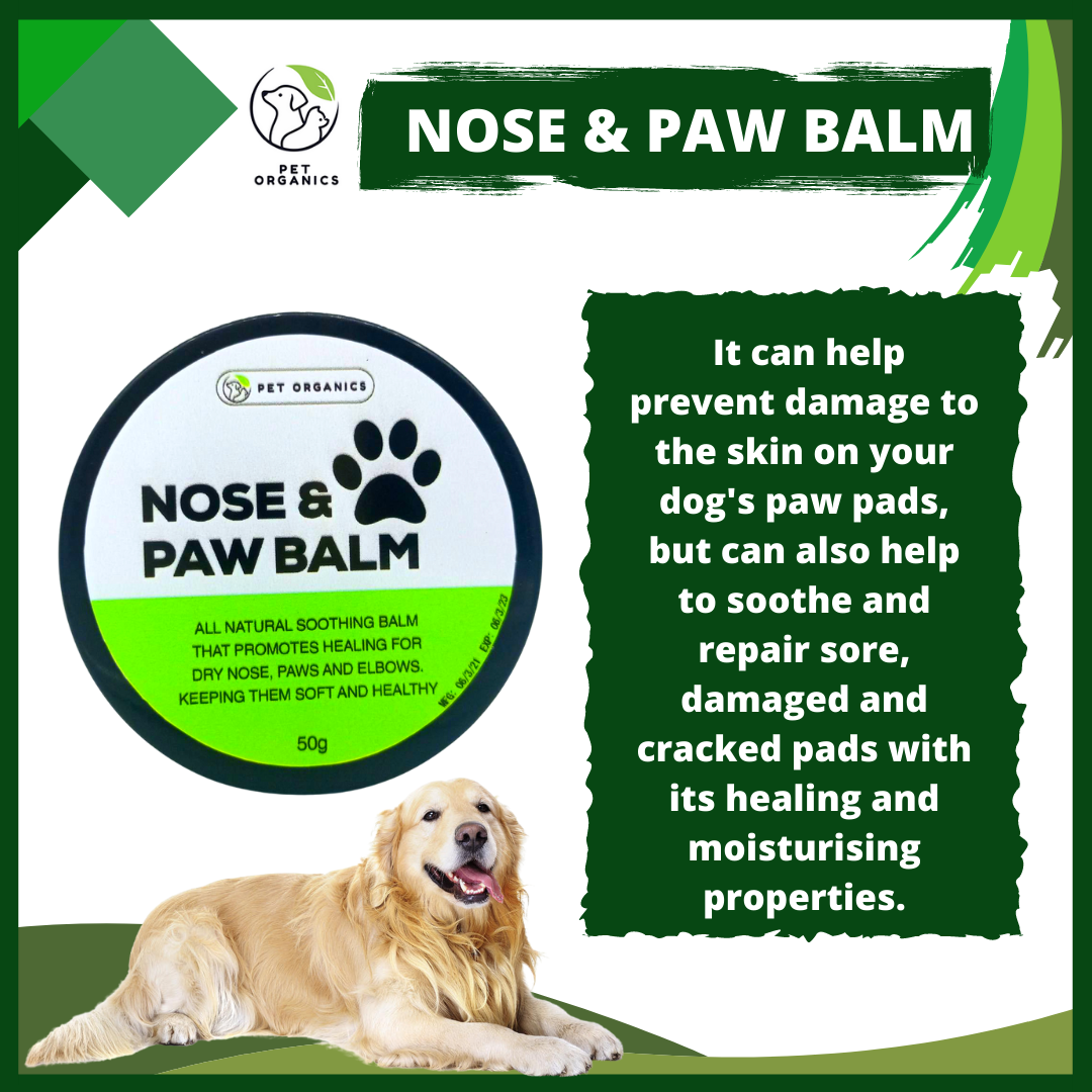 Skin Distemper Paw Pads Canine Distemper Dogs Pads Are Rough And