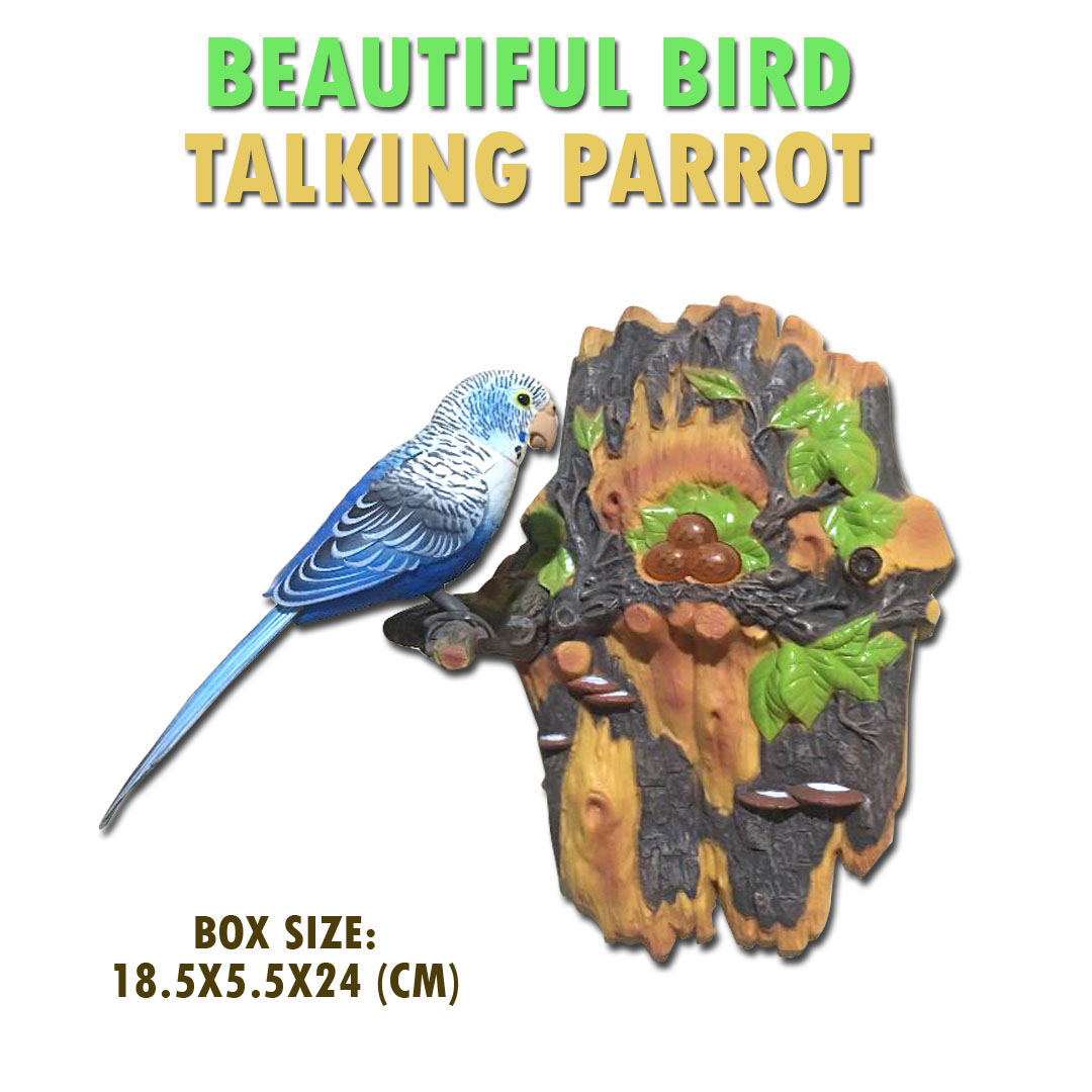 real talking parrot online shopping
