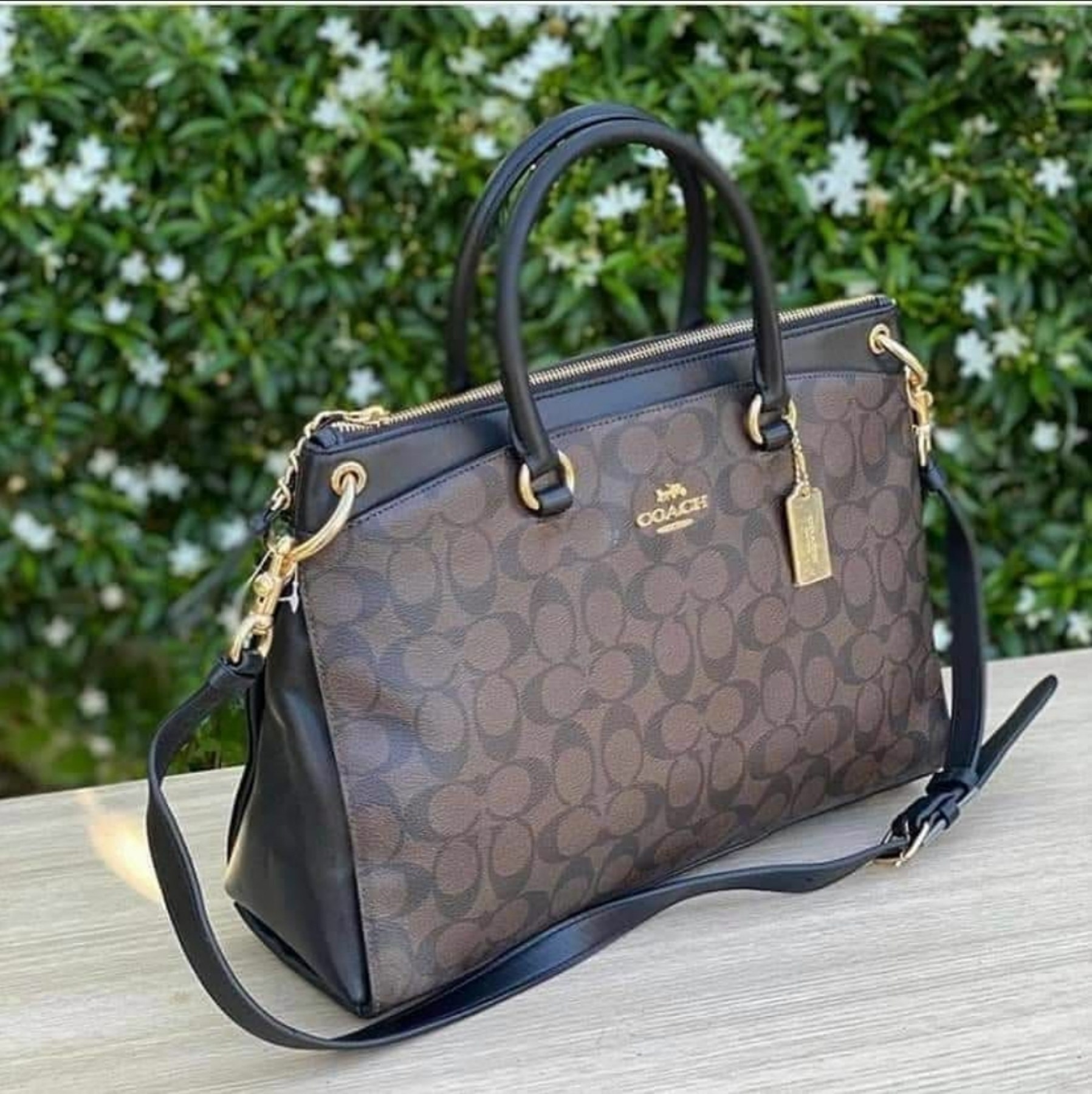 coach mia satchel in brown signature canvas, Luxury, Bags & Wallets on  Carousell