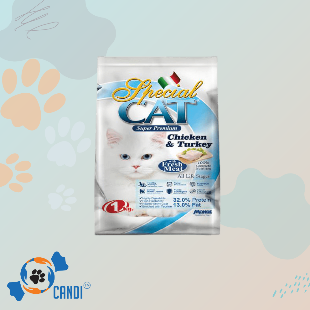 Special Cat Food 1.5 kg Original Packaging Lazada PH