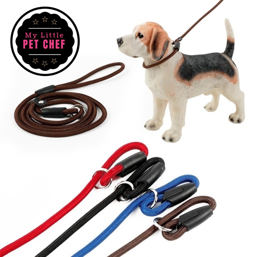 dog leash for sale
