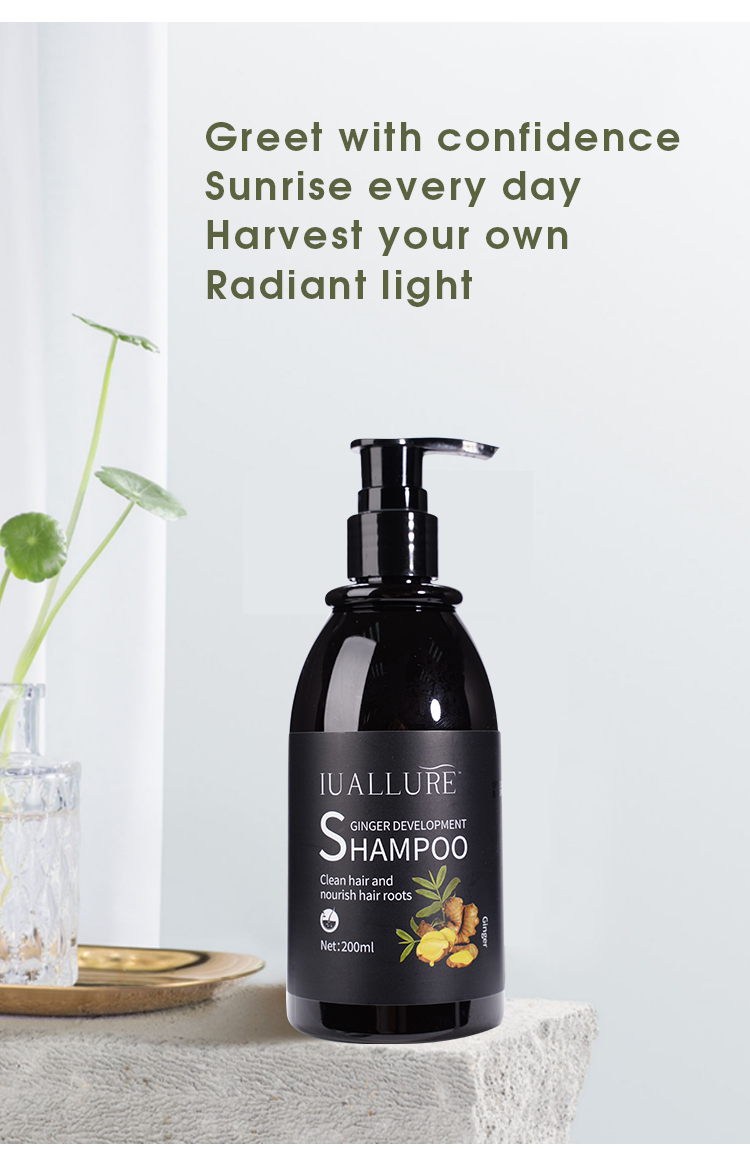 Ginger Juice Hair Growth Shampoo Fast Powerful Hair Growth Liquid 500ml