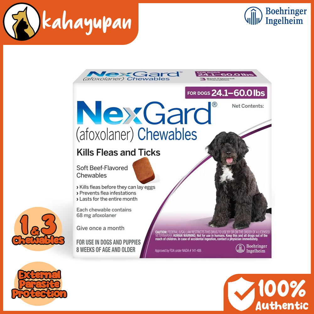 Photo inspiration: Low Parasite Regions Flea Treatment Options Reference: Nexgard Anti Tick And Flea External Parasite Protection Chewable For