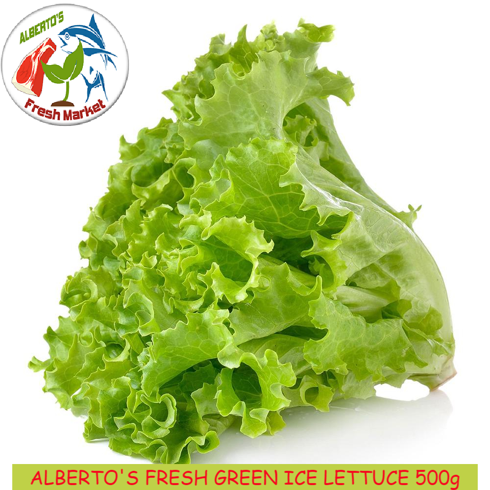 FRESH GREEN ICE LETTUCE 500g Lazada PH